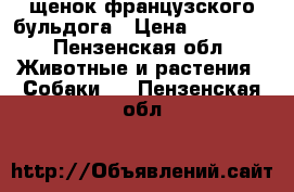 щенок французского бульдога › Цена ­ 15 000 - Пензенская обл. Животные и растения » Собаки   . Пензенская обл.